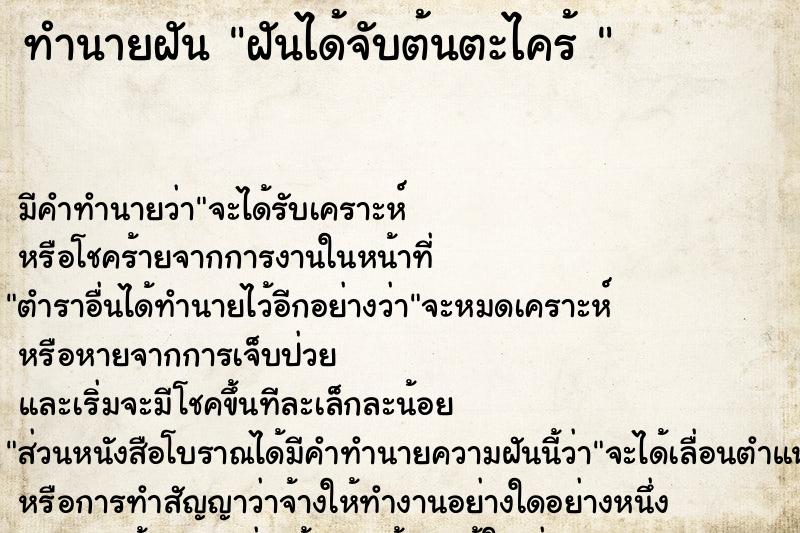 ทำนายฝันทำนายฝันฝันได้จับต้นตะไคร้